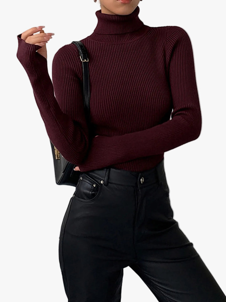 Women's Cosy Ribbed Knit Turtleneck Sweater