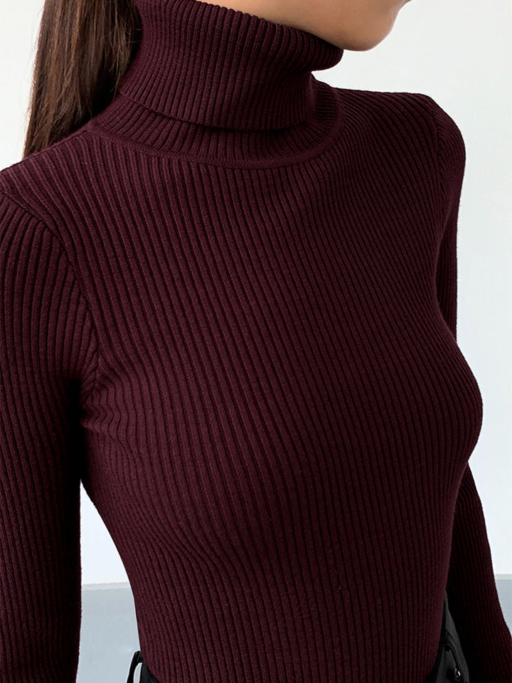 Women's Cosy Ribbed Knit Turtleneck Sweater